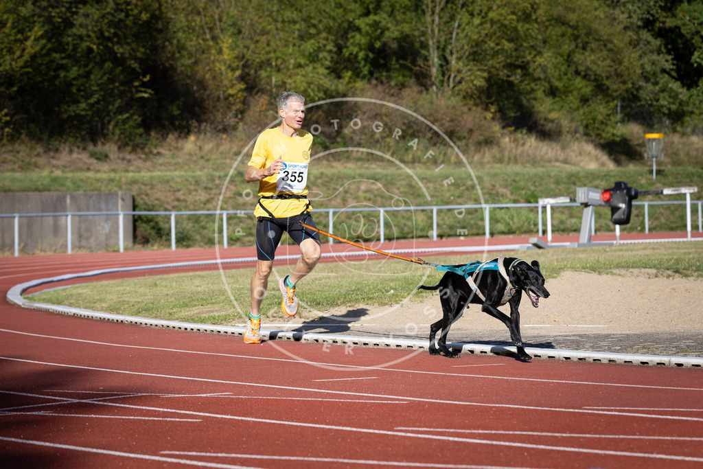 Pfotenfotografie_DV3A9911 | Hundefotografie, Tierfotograf, Pfotenfotografie, Fotoshooting Hund, Hunde Portrait, Hundesport, Hundeportraits, Heideshooting, Hunde, Sportfotograf, Hundefotograf, Turnierhundsport, THS,  - Realisiert mit Pictrs.com