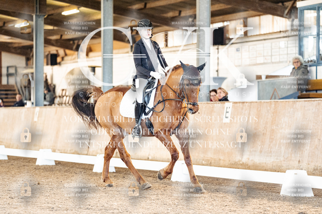 CK907765 | Turnierfotografie Pferdefotografie Trier Rheinland-Pfalz Pferdesport Reitsport Tierfotografie Sportfotografie Pferdevideo Pferdevideografie Equestrianvideography equestrianphotography  - Realisiert mit Pictrs.com