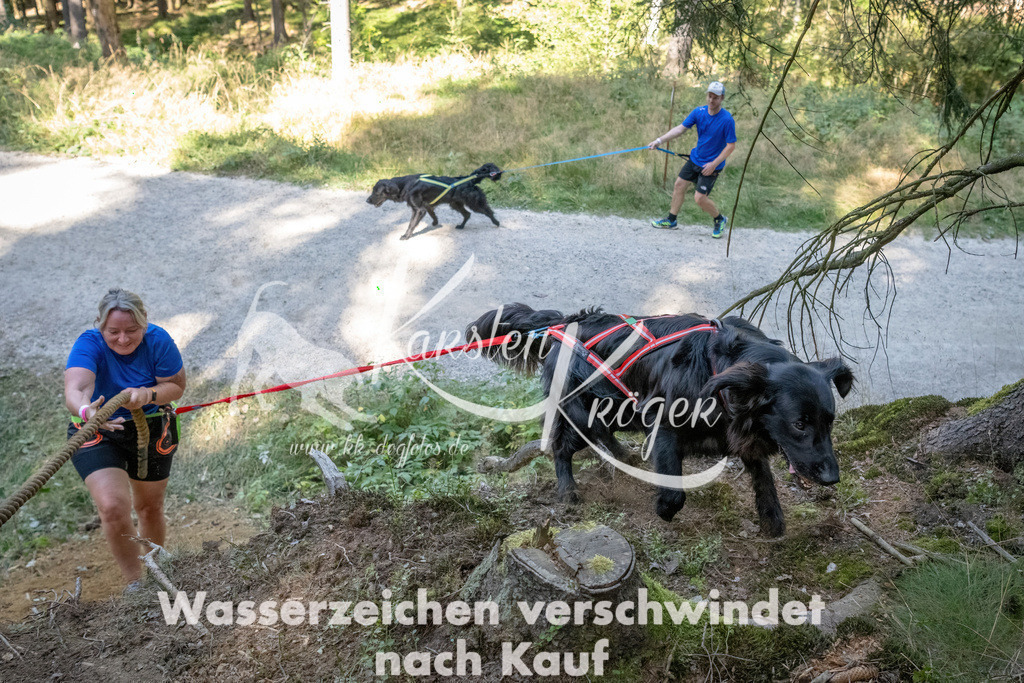 1216_ZZ93834 | kk-dogfotos