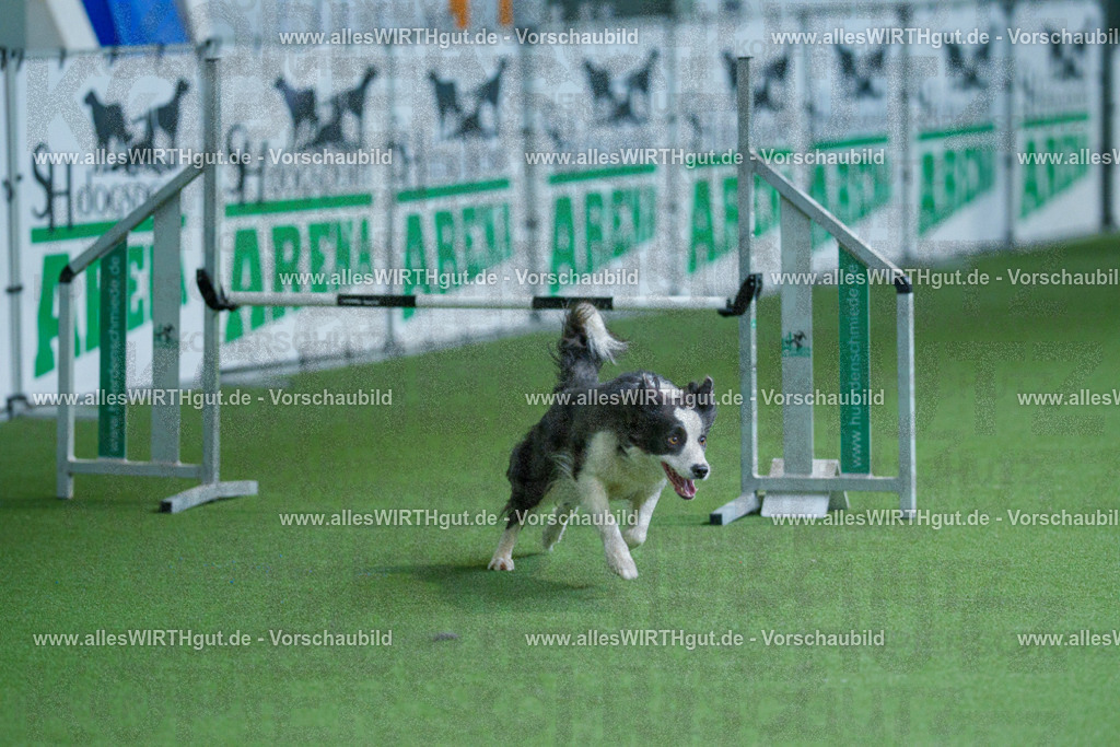 @allesWIRTHgut_Tierfotografie - www.allesWIRTHgut.de - 2604251439-7R505222 | Professionelle Tierfotografie in Mönchengladbach von Daniel Wirth (allesWIRTHgut). Liebevolle & natürliche Bilder von Hunden & Katzen für unvergessliche Erinnerungen.