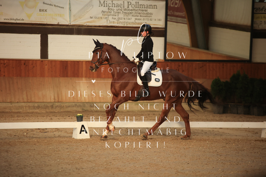 IMGT3312 | pl-fotografie