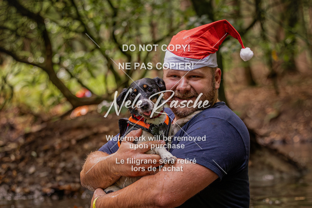 nelerasche_SaWingst0845-1000_281 | nelerasche