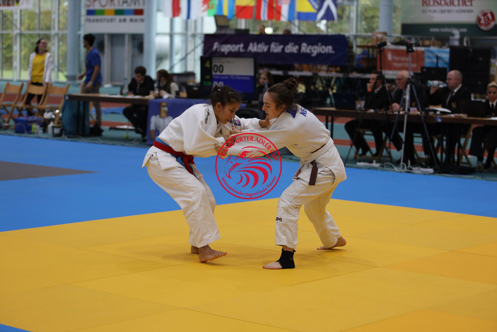 213-IMG_9703 | Fotos vom Adler Cup - Pictures from Adler Cup

Hier findet Ihr alle Eindrücke und großen Momente der Adler Cup Wochenenden. Here you will find all impressions and great moments of the Adler Cup weekends. - Realisiert mit Pictrs.com