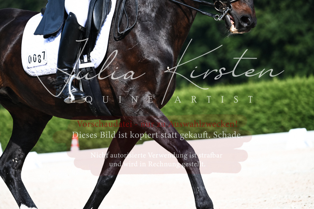 DSC_3303 | Pferde- und Turnierfotografie in Westsachsen. Pferdeportraits, Auftragszeichnungen und intuitive Kunst.