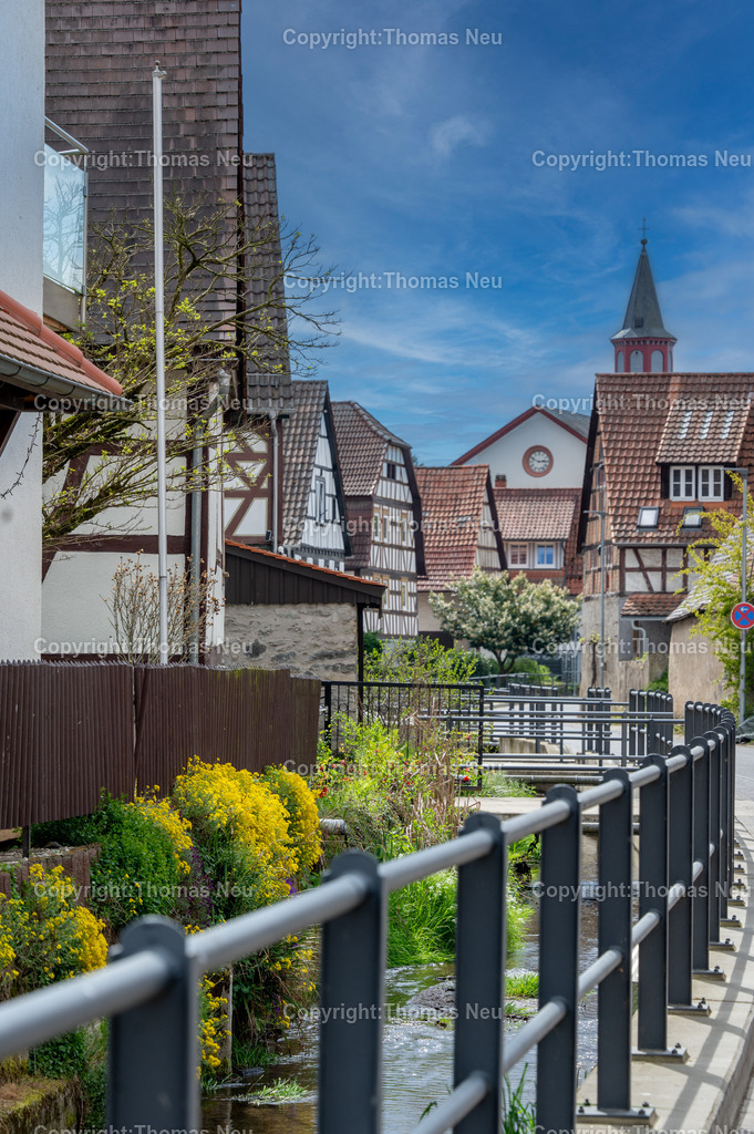 Dorfidylle-Gronau-Fruehling-meerbach-Bensheim-Fotografie-Thomas-Neu-31-Bearbeitet Kopie | Malerisch schlängelt sich der Meerbach durch den Bensheimer Stadtteil Gronau, Fachwerkhäuser und die evangelische Kirche sind auf dem Bild zu sehen, ,Bild: THomas Neu