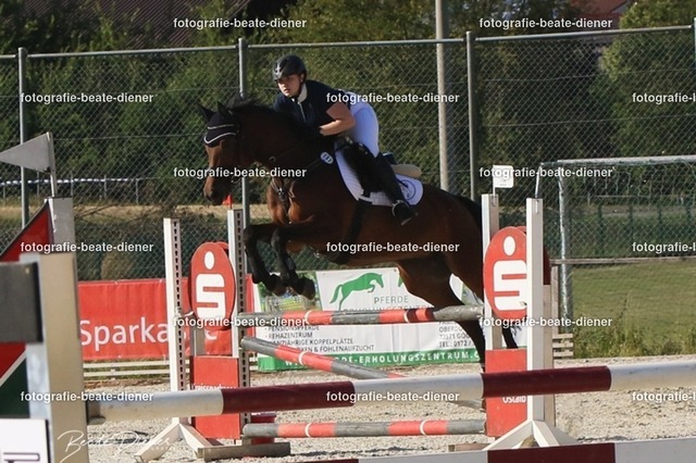 OHT 2022 Röhlingen (96) | Fotografie, Tiere, Hunde, Katzen, Pferde, Sportfotografie, Fotosession, Tierfotografie, Turnierfotografie, Fotografin, Fotograf - Realisiert mit Pictrs.com