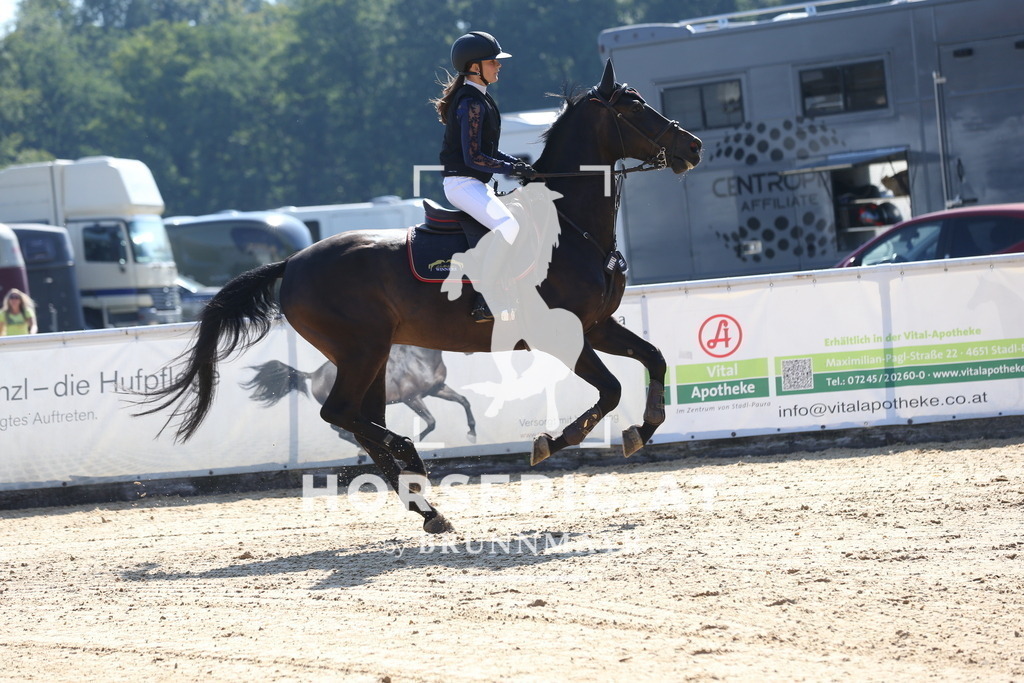DL2Q2443 | Willkommen bei Brunnmayr - Design & Fotografie – Ihrem Spezialisten für Reitturniere und Pferdeveranstaltungen in Oberösterreich, Salzburg und Bayern! Seit über 17 Jahren sind wir leidenschaftlich dabei.