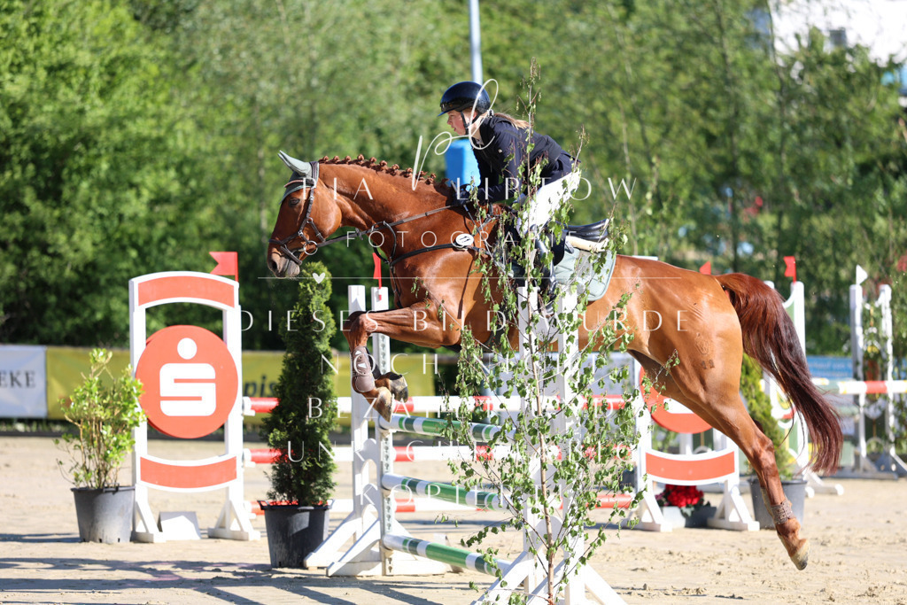 IMGS6178 | pl-fotografie