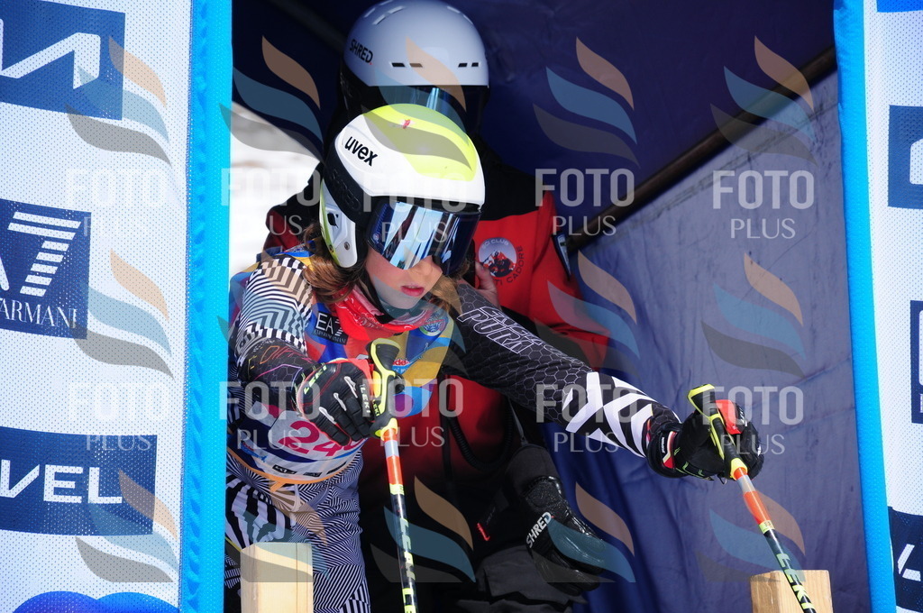 DSC_6185 | holidayphoto