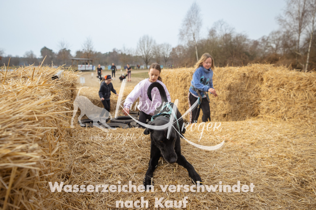 1052_ZZ90588 | kk-dogfotos