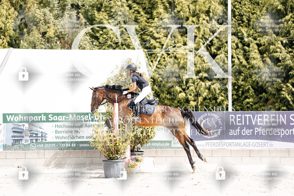 CK906249 | Turnierfotografie Pferdefotografie Trier Rheinland-Pfalz Pferdesport Reitsport Tierfotografie Sportfotografie Pferdevideo Pferdevideografie Equestrianvideography equestrianphotography  - Realisiert mit Pictrs.com