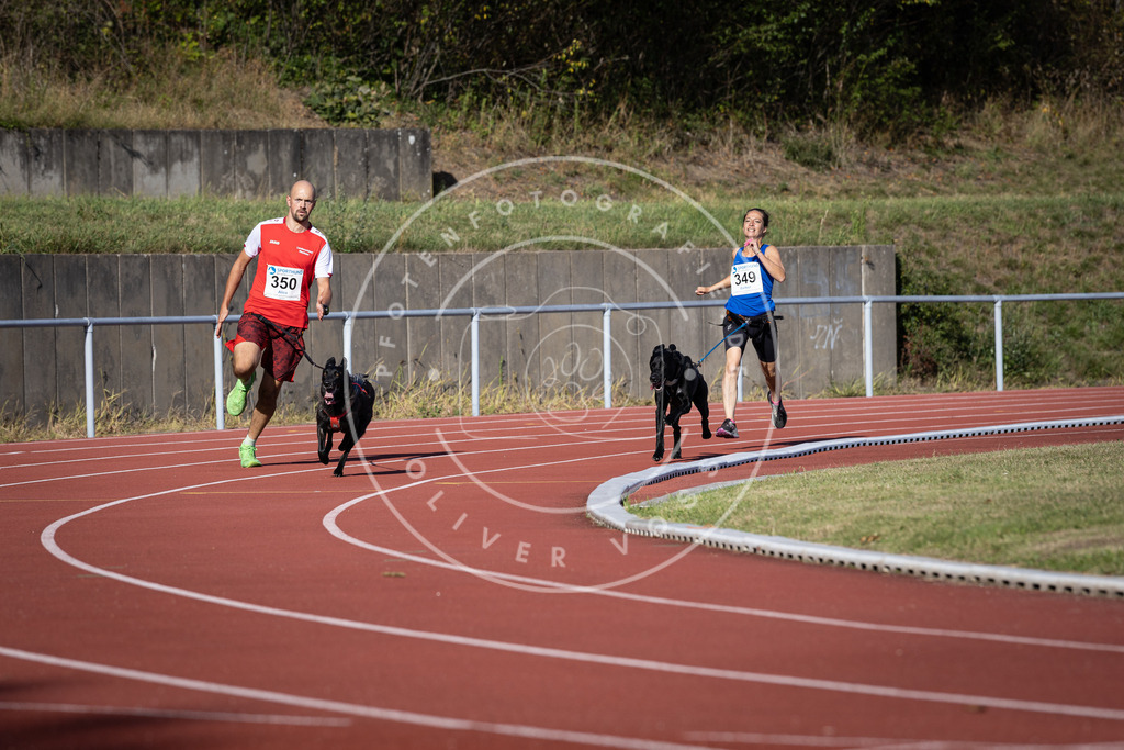 Pfotenfotografie_DV3A9374 | Hundefotografie, Tierfotograf, Pfotenfotografie, Fotoshooting Hund, Hunde Portrait, Hundesport, Hundeportraits, Heideshooting, Hunde, Sportfotograf, Hundefotograf, Turnierhundsport, THS,  - Realisiert mit Pictrs.com