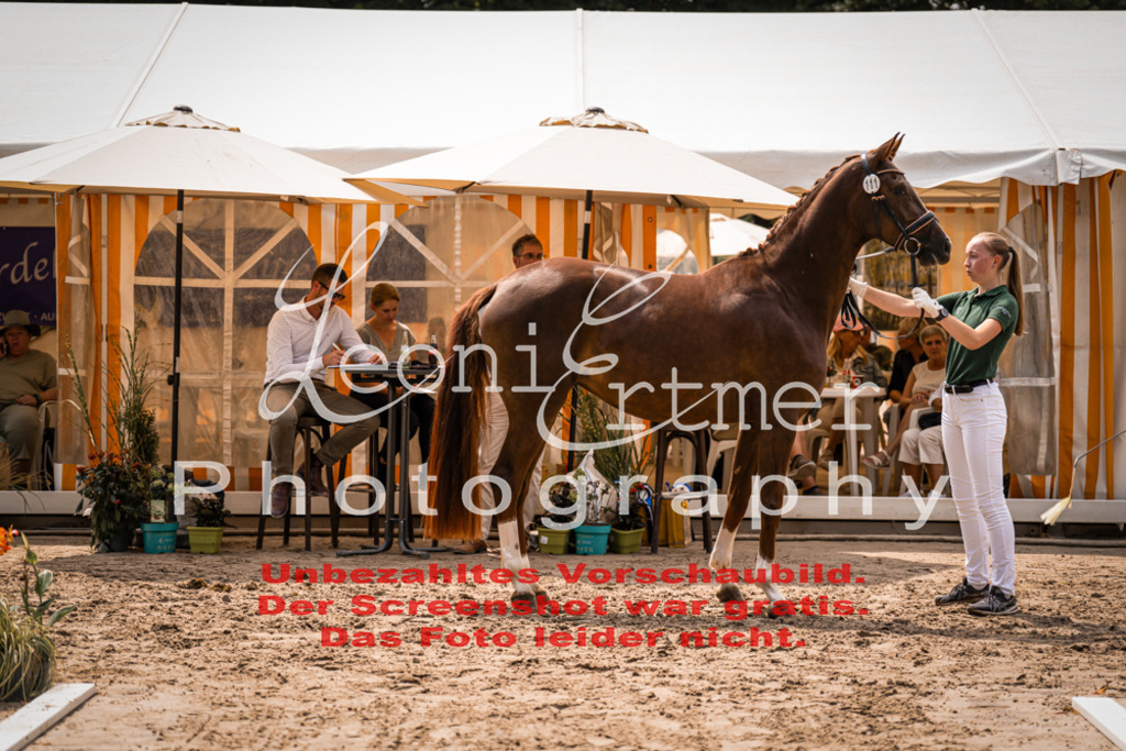 3.Fr00079 | Leoni Ertmer Photography - Realisiert mit Pictrs.com