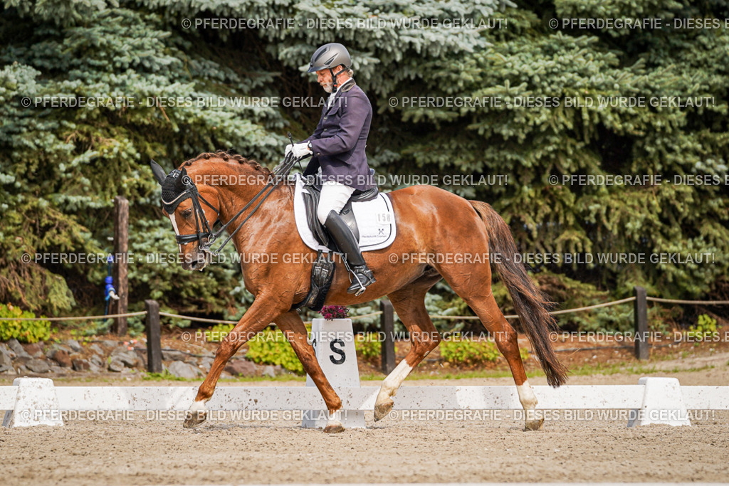 DSC05718 | Pferdegrafie