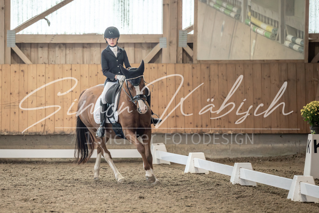 20251011-_3LI6888 | Tierfotografie Pferde, Hunde, Katzen, Haustiere.
Turnierfotografie Reitturniere, Reiten, Springreiten, Dressur in Hanau, dem Main-Kinzig-Kreis und dem Rhein-Main- Gebiet um Frankfurt