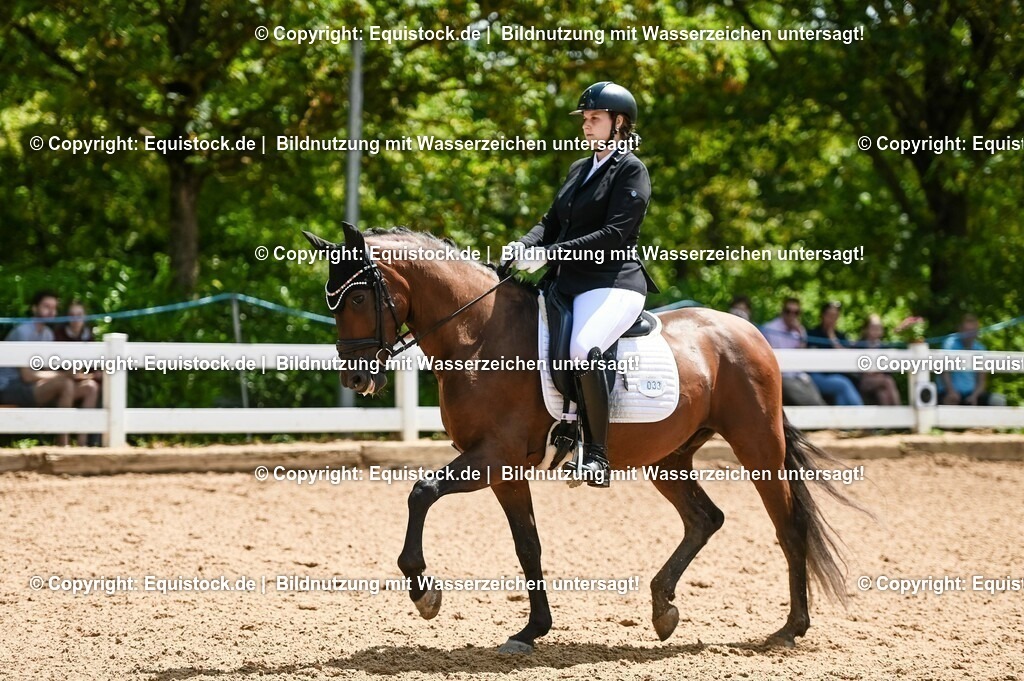 20230716_03_Dressurprfg. Kl.L - Tr._0129 | equistock