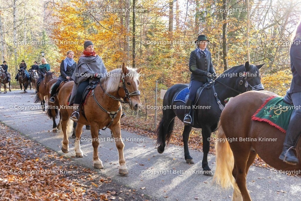 LL24-326 | foto-bettina-krinner - Realisiert mit Pictrs.com