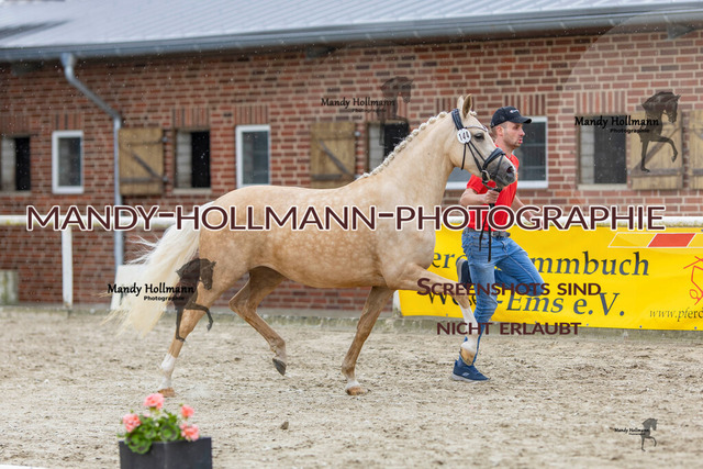 0P2A1567 | mandyhollmannphotographie