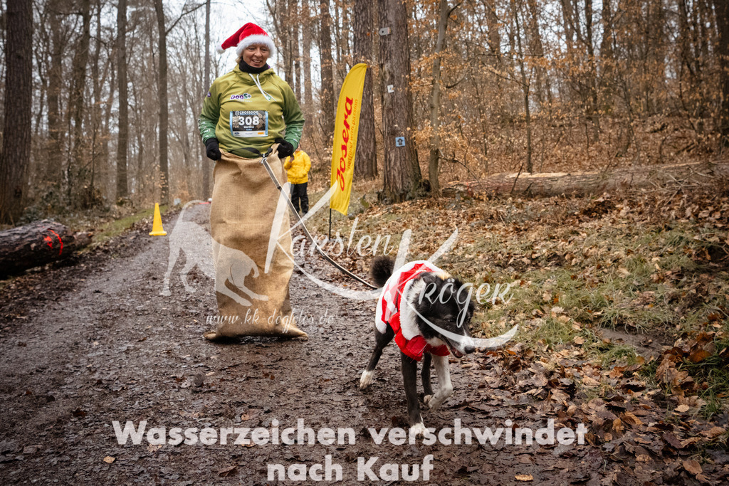 1142_ZZ91270 | kk-dogfotos