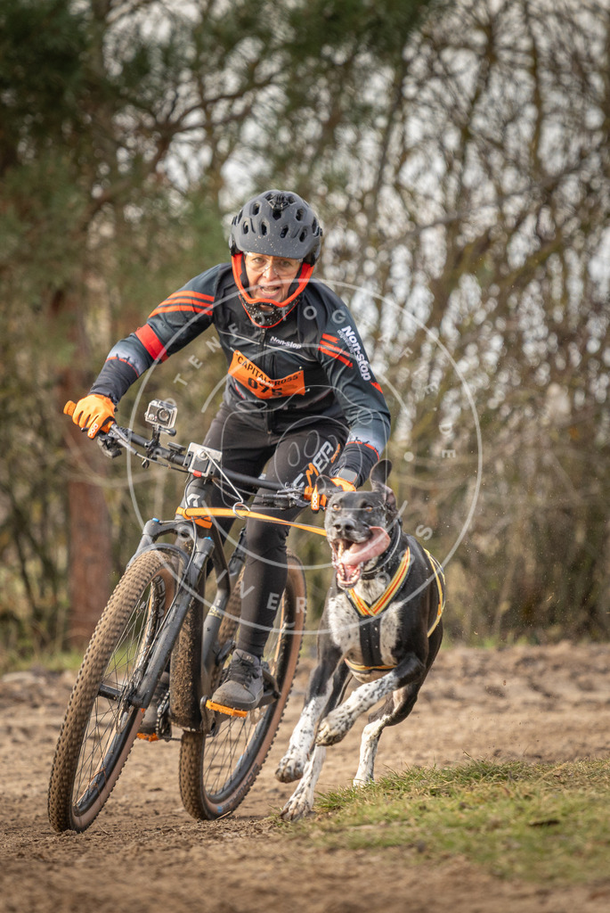 Pfotenfotografie_DV3A7193 | Hundefotografie, Tierfotograf, Pfotenfotografie, Fotoshooting Hund, Hunde Portrait, Hundesport, Hundeportraits, Heideshooting, Hunde, Sportfotograf, Hundefotograf, Turnierhundsport, THS,  - Realisiert mit Pictrs.com