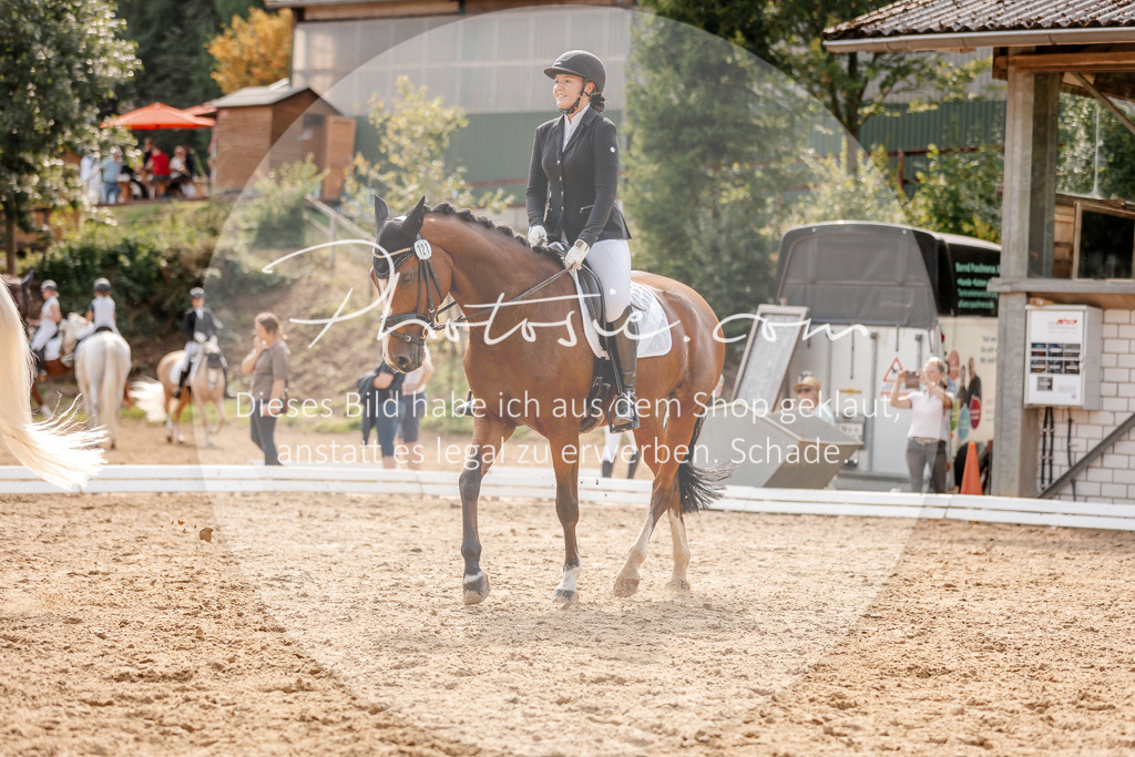 3I6A4258 | Stimmungsvolle Portraits und Reitsportfotografie im Ruhrgebiet und im Münsterland.

Pferdefotografie, Hundefotografie, Tierfotografie, Reportagen, Portraits von Tier und Mensch, Turnierfotografie in Bochum, Recklinghausen, Marl, Haltern am See, Dülmen.. - Realisiert mit Pictrs.com