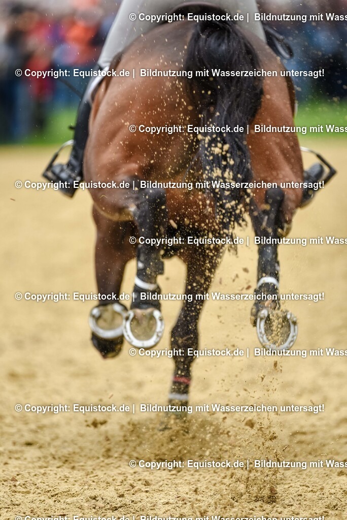 TS_20250607_27_CCI4_Gelände_0173 | Foto: Thomas Hartig