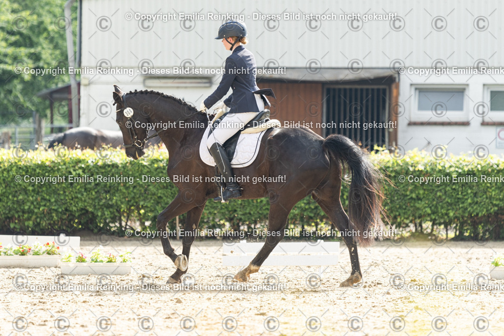 CL5A4441 | Emilia Reinking Fotografie - Realisiert mit Pictrs.com