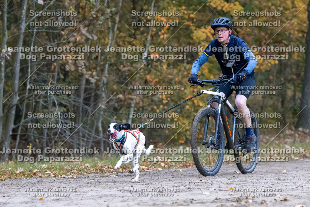 Dog Paparazzi - SD CaniX Championship 2025-238 | Dog Paparazzi Jeanette Grottendiek Fotografie & Videografie - Realisiert mit Pictrs.com