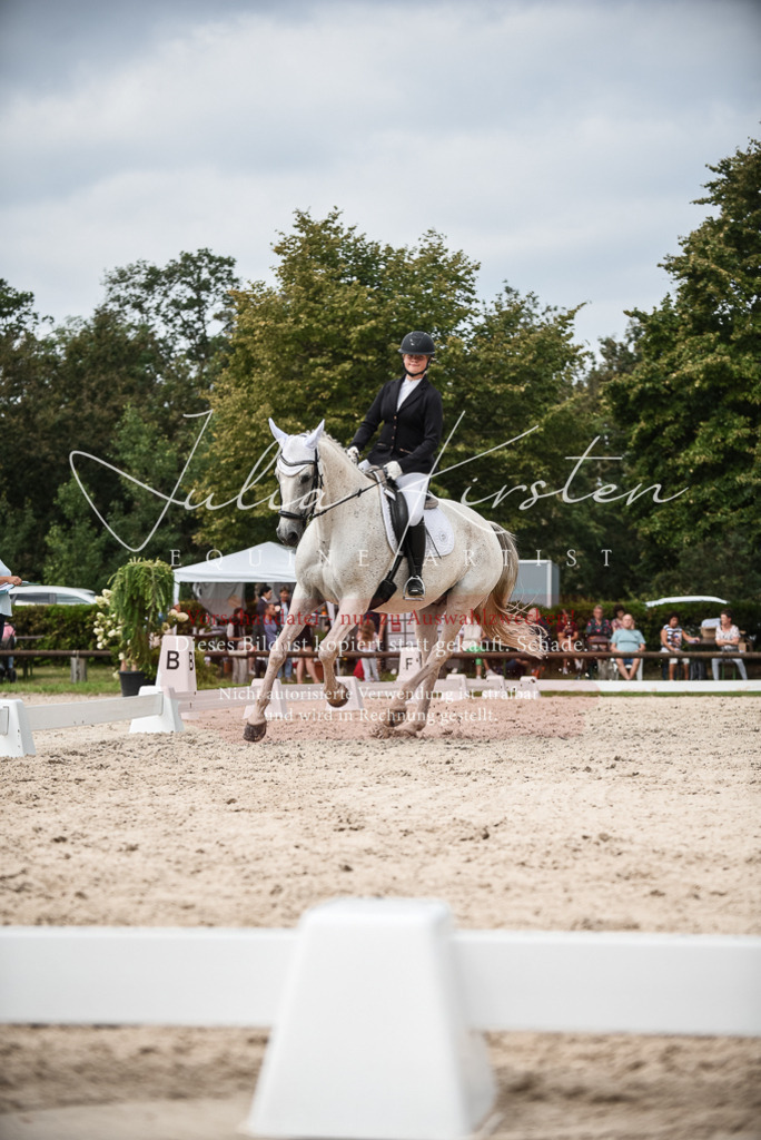 DSC_8511 | Pferde- und Turnierfotografie in Westsachsen. Pferdeportraits, Auftragszeichnungen und intuitive Kunst.