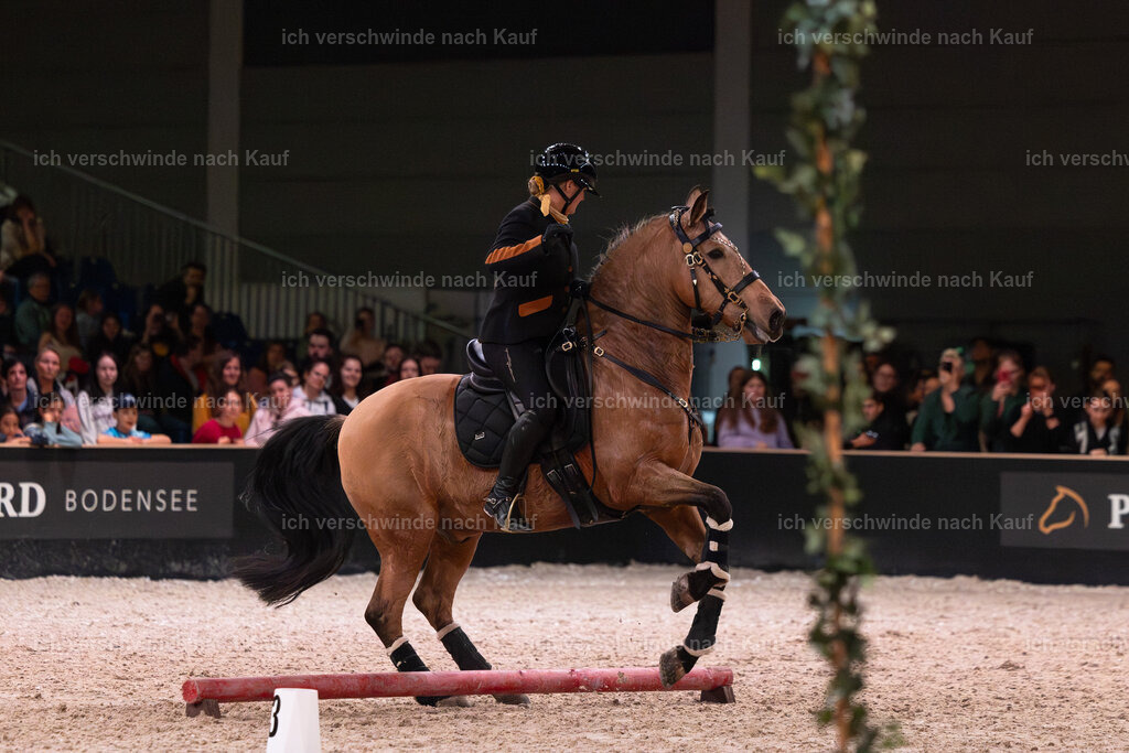 JoseraCup-214 | working equitationturnier fotograf videograf stoibphotography marixx film working equitation deutschland reitsport turnierfotografie eventfotografie equestrian events