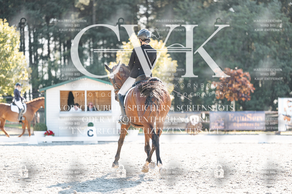 CK906759 | Turnierfotografie Pferdefotografie Trier Rheinland-Pfalz Pferdesport Reitsport Tierfotografie Sportfotografie Pferdevideo Pferdevideografie Equestrianvideography equestrianphotography  - Realisiert mit Pictrs.com
