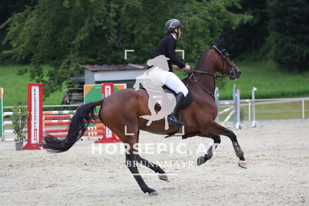 0P6A4321 | Willkommen bei Brunnmayr - Design & Fotografie – Ihrem Spezialisten für Reitturniere und Pferdeveranstaltungen in Oberösterreich, Salzburg und Bayern! Seit über 17 Jahren sind wir leidenschaftlich dabei.