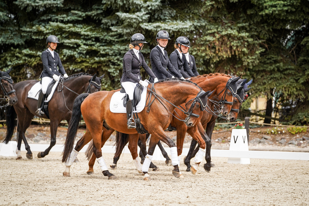 DSC04725 | Pferdegrafie