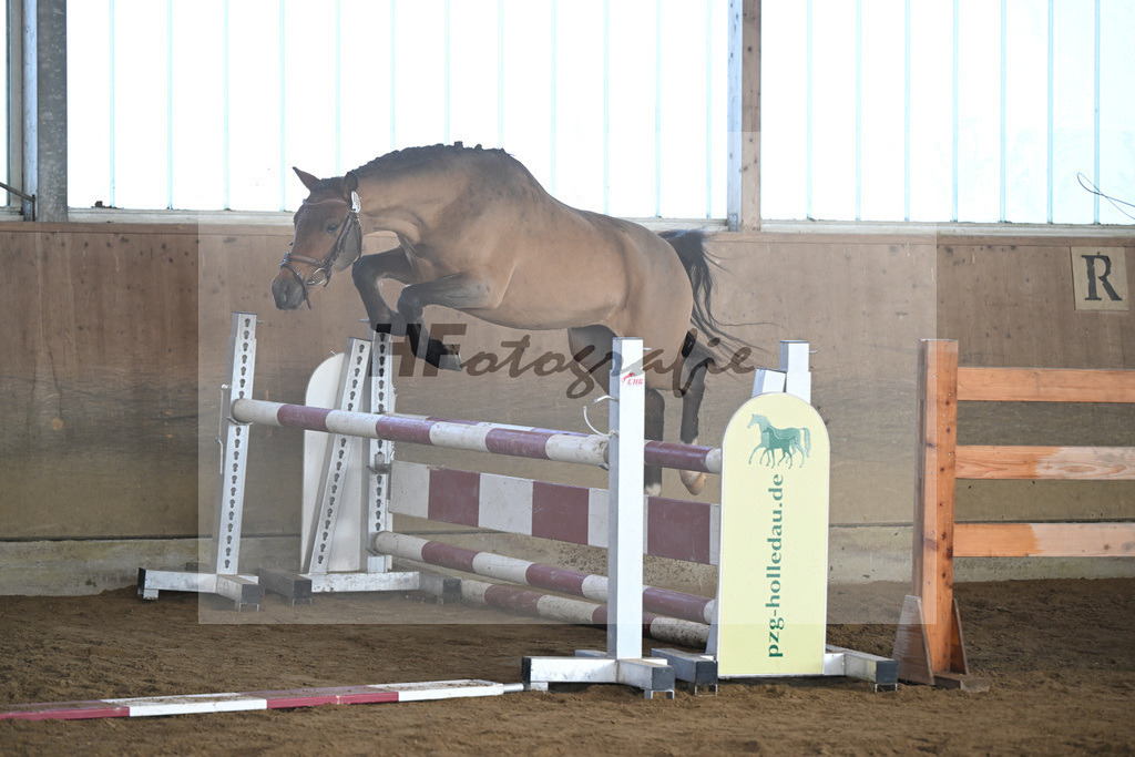 Kat-Nr. 9 More of Hollywood v. Mescal_Drude_49250238 | hf-fotografie - Realisiert mit Pictrs.com