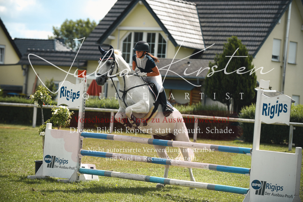 DSC_6746 | Pferde- und Turnierfotografie in Westsachsen. Pferdeportraits, Auftragszeichnungen und intuitive Kunst.