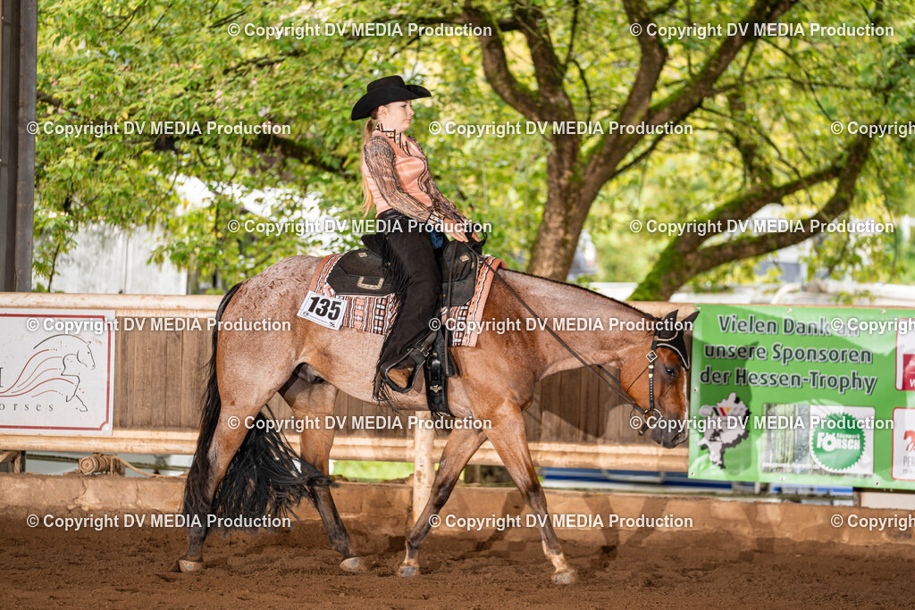 Erbach Tag 1-072 | dv-media-shop - Realisiert mit Pictrs.com