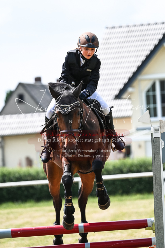 DSC_9257 | Pferde- und Turnierfotografie in Westsachsen. Pferdeportraits, Auftragszeichnungen und intuitive Kunst.