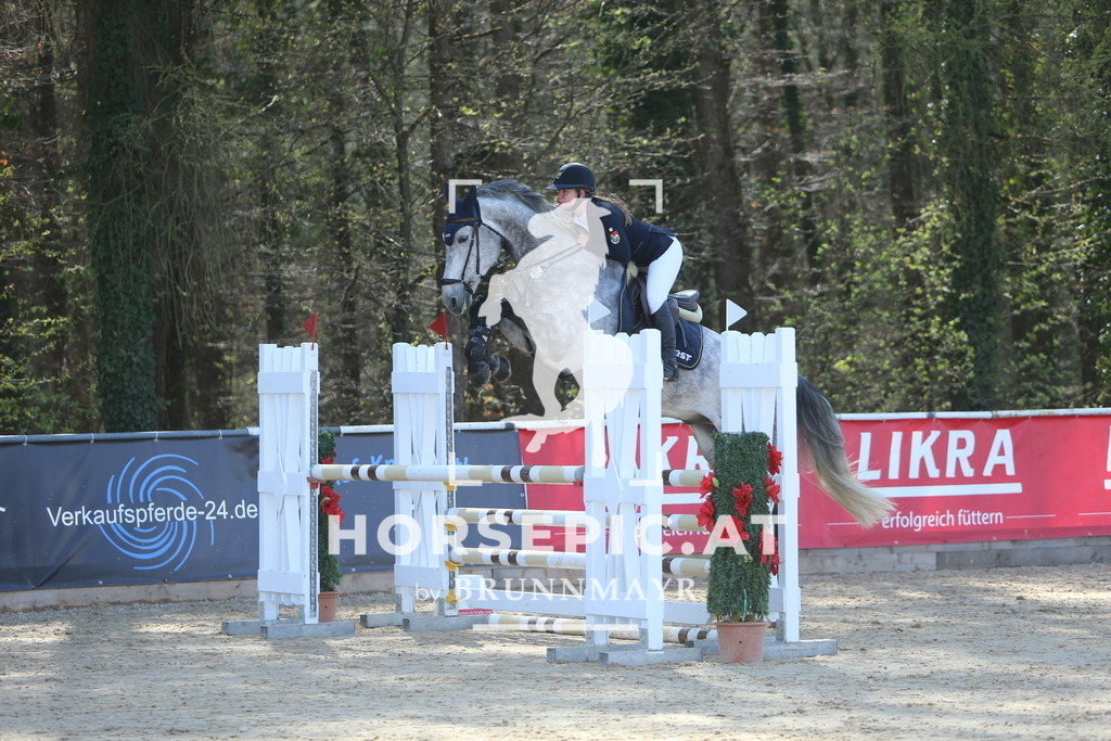 DL2Q0447 | Willkommen bei Brunnmayr - Design & Fotografie – Ihrem Spezialisten für Reitturniere und Pferdeveranstaltungen in Oberösterreich, Salzburg und Bayern! Seit über 17 Jahren sind wir leidenschaftlich dabei.