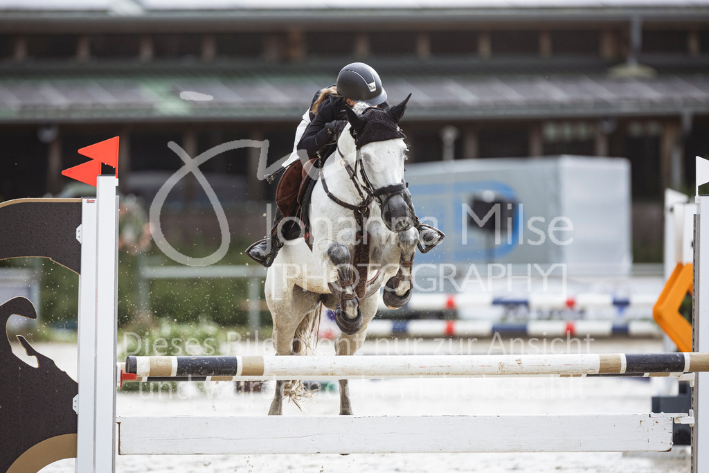 240615_CoesfeldLette_Stil-A-134 | Deine schönsten Turniermomente als professionelle Fotos! Entdecke hochwertige Pferdesport-Fotografie im Online-Shop. Jetzt Fotos finden & bestellen!