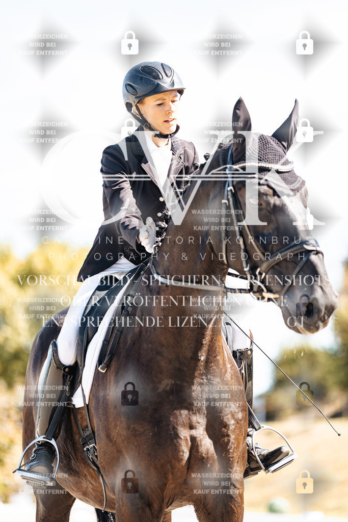 CK909932 | Turnierfotografie Pferdefotografie Trier Rheinland-Pfalz Pferdesport Reitsport Tierfotografie Sportfotografie Pferdevideo Pferdevideografie Equestrianvideography equestrianphotography  - Realisiert mit Pictrs.com