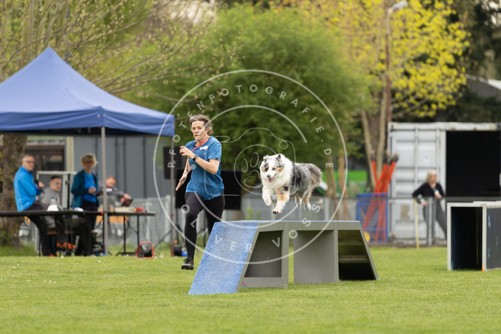 Pfotenfotografie_DV3A9253 | Hundefotografie, Tierfotograf, Pfotenfotografie, Fotoshooting Hund, Hunde Portrait, Hundesport, Hundeportraits, Heideshooting, Hunde, Sportfotograf, Hundefotograf, Turnierhundsport, THS,  - Realisiert mit Pictrs.com