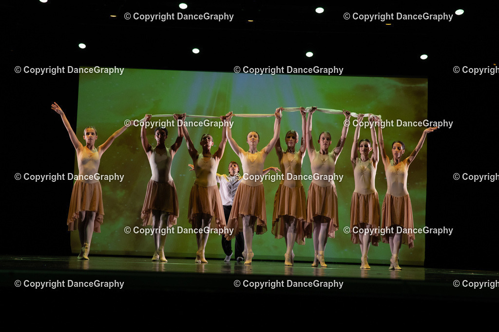 GPHY6321 | DanceGraphy - Realisiert mit Pictrs.com