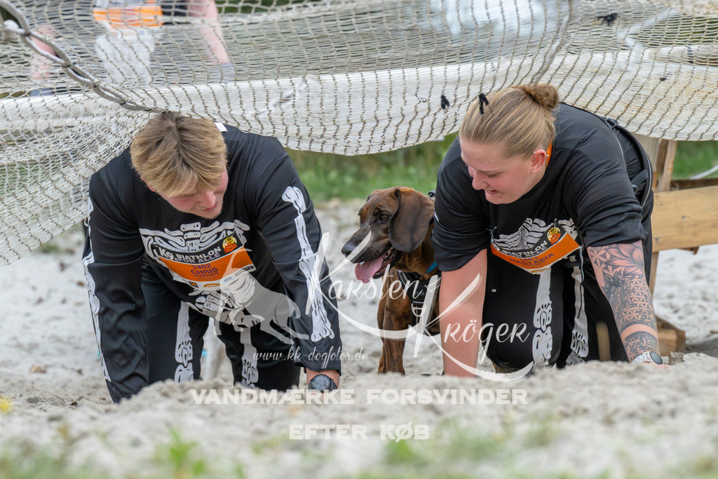 1036_ZZ94560 | kk-dogfotos