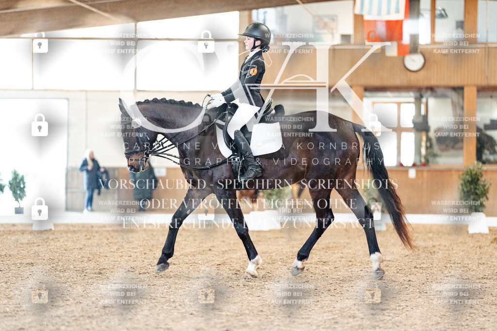 CK907214 | Turnierfotografie Pferdefotografie Trier Rheinland-Pfalz Pferdesport Reitsport Tierfotografie Sportfotografie Pferdevideo Pferdevideografie Equestrianvideography equestrianphotography  - Realisiert mit Pictrs.com
