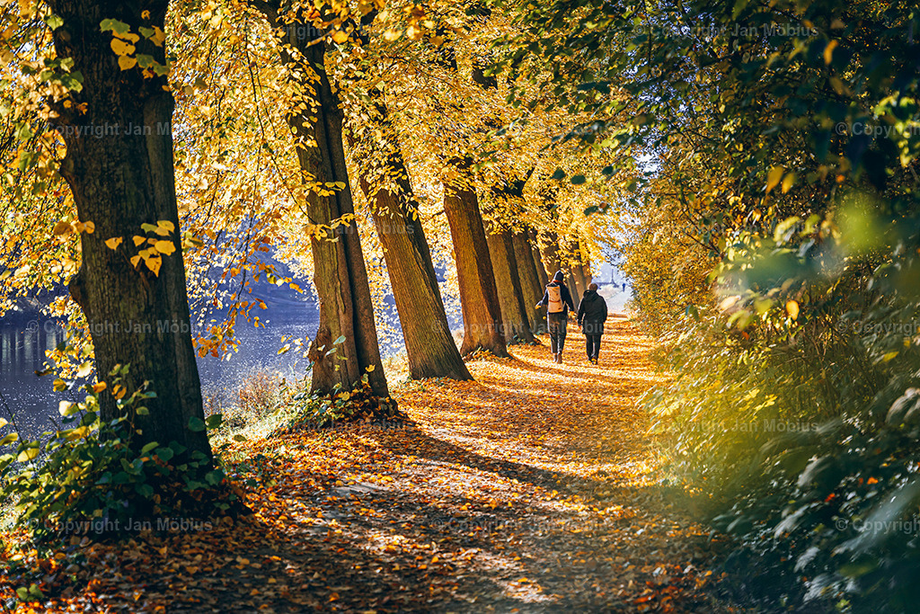 _DSC7170 | Leipzig Wandbilder Drucke Prints Leinwand Stadtmotive Leipzig Fotosdruck Kunstdrucke Bilder Leipzig Stadtansichten Acrylglasbilder Leipzig Wanddeko Fine Art Prints Wandbilder Büro Leipzig Bilder Praxis Zuhause Bilderdruck Poster Posterlounge Kunstdrucke - Realisiert mit Pictrs.com