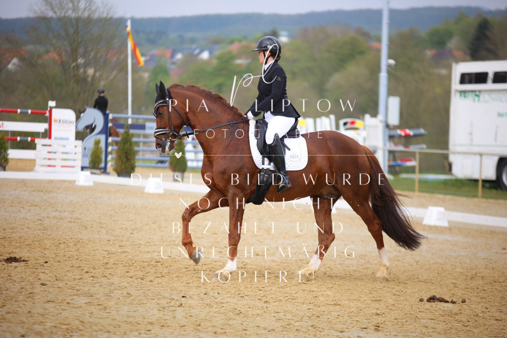 IMGT7641 | pl-fotografie