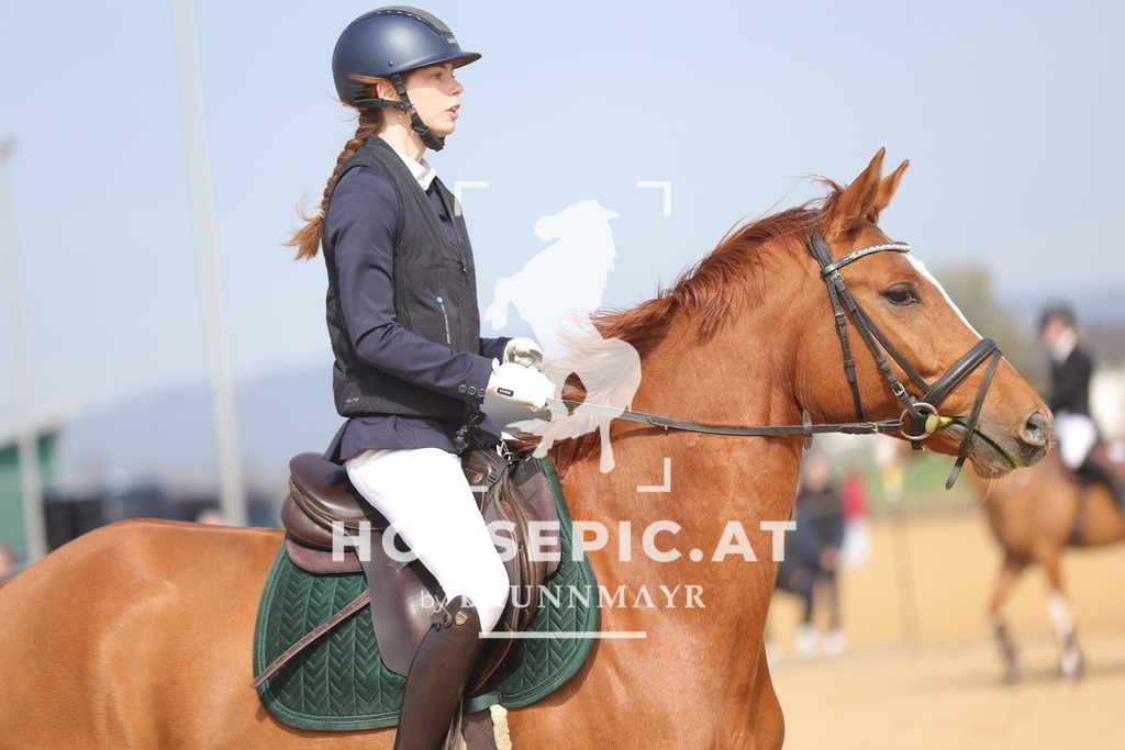 0P6A9562 | Willkommen bei Brunnmayr - Design & Fotografie – Ihrem Spezialisten für Reitturniere und Pferdeveranstaltungen in Oberösterreich, Salzburg und Bayern! Seit über 17 Jahren sind wir leidenschaftlich dabei.
