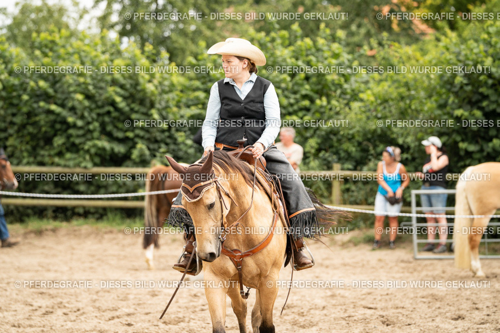 DSC00851 | Pferdegrafie