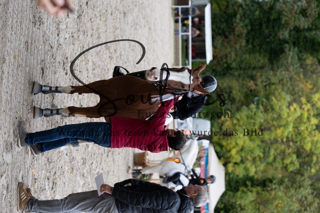 A7V09842 | Turnier/Reitfotograf