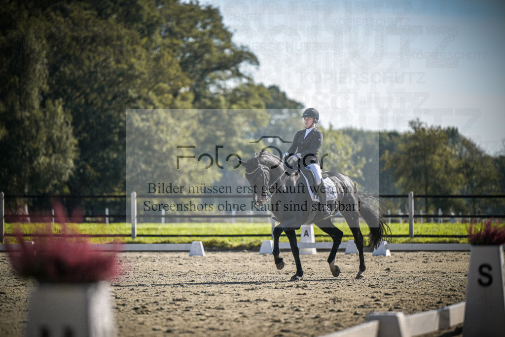 DOS_2114 | Entdecke hochwertige Reitturnierfotos von Foto Oger. Professionell, emotional und authentisch – jetzt Lieblingsmomente im Shop bestellen.Deutschlandweite Turnierfotografie. - Realisiert mit Pictrs.com